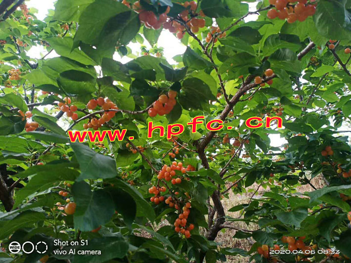 ff540c755c7c9eab8d61a5951f7065d