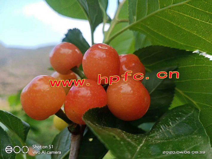 e4357e2796880b178cec1895a457502