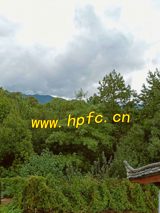 f540871eece4e546c44b2ae2dd4721d