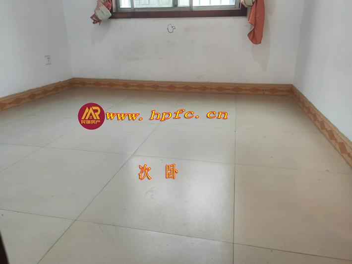 20241205112541
