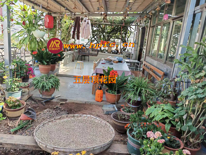 河西食品桥附近独栋四层出售