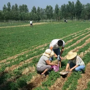 耕地承包经营权登记相关业务办理应注意的问题