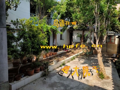 ​华中北路独幢土木结构房屋出售