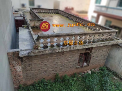 河东完小附近独栋房屋出售