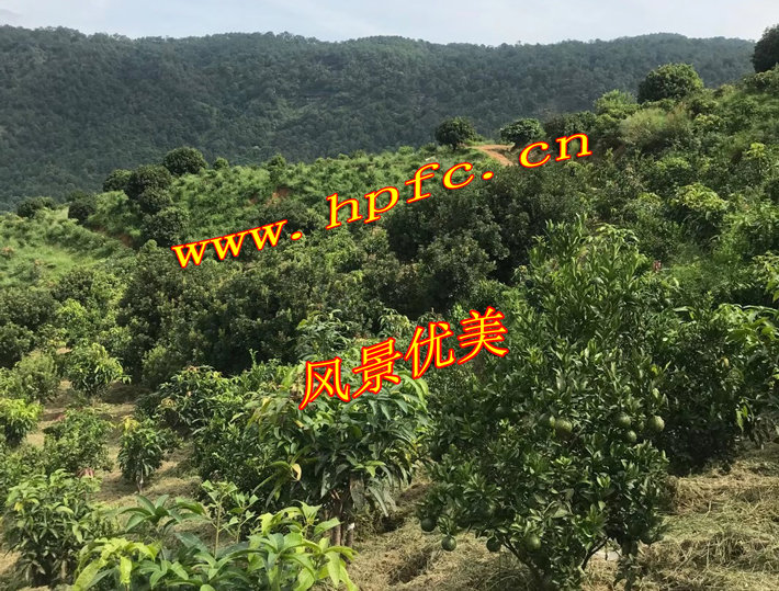 72ecbe02ec268cc8c1507e917a98c7a
