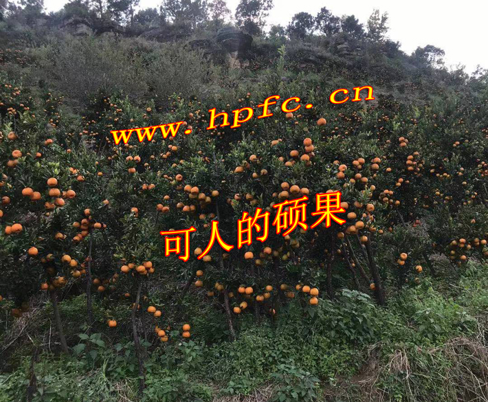 94d6abd9eb99c6463daf04c4cf136e2