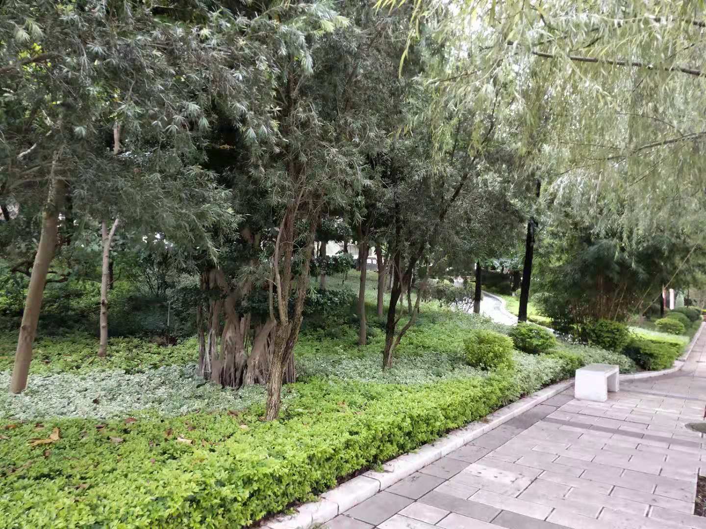 20181001151354.jpg