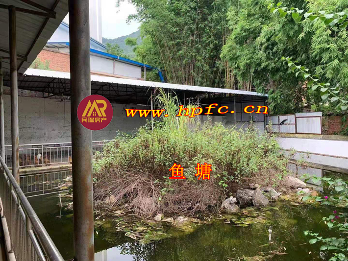2ea725f008df743c740a8d6218f05c0