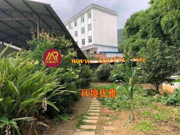 28482deb2b76a2fc8178cc810d662a7