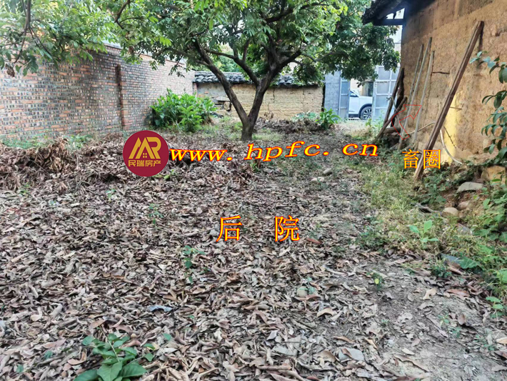 20231229092643
