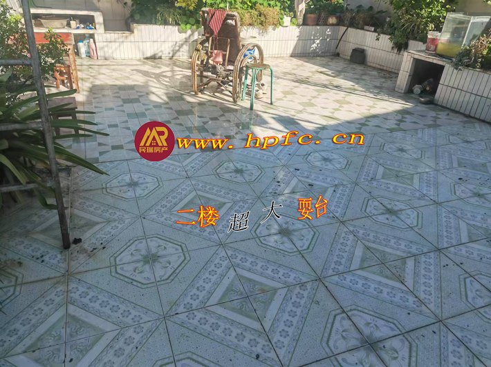 20241115164108