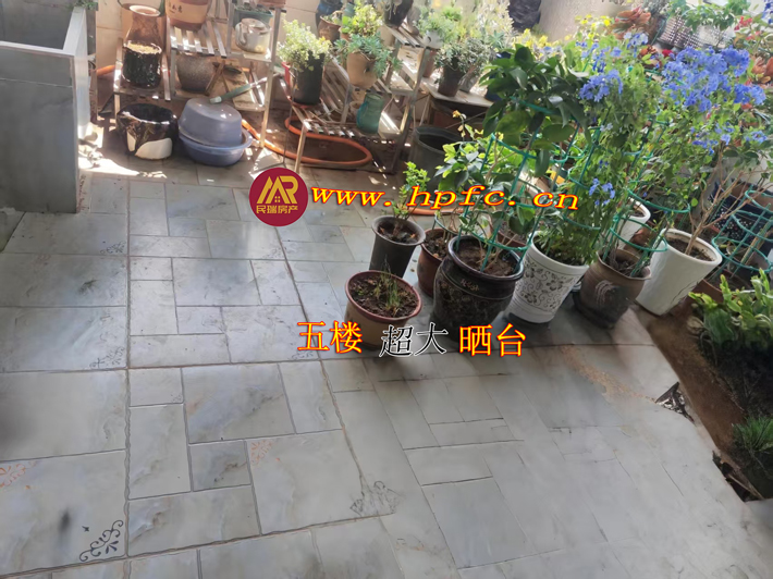 25d63f2dc3ab2fa6e820cc600bece997