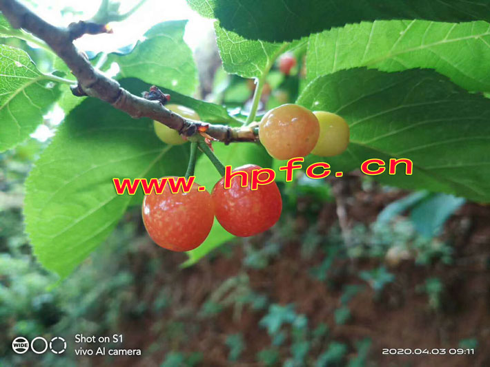 2b4688ff056d165bc52cd96636f398f