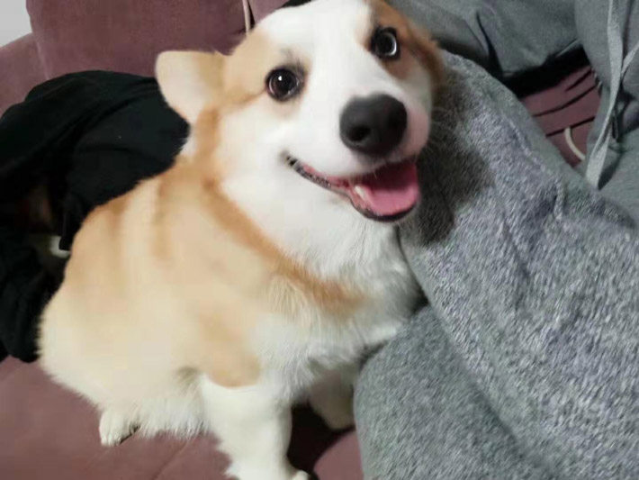 hh